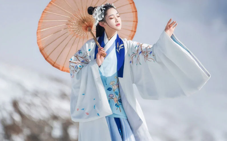 Best 8 Hanfu Types You Need to Know