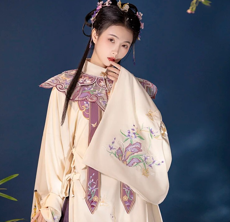 Women Fairy Hanfu Dress Traditional Chinese Clothing Festival Outfit Embroidery Ancient Folk Stage Ming Dynasty Hanfu Costume