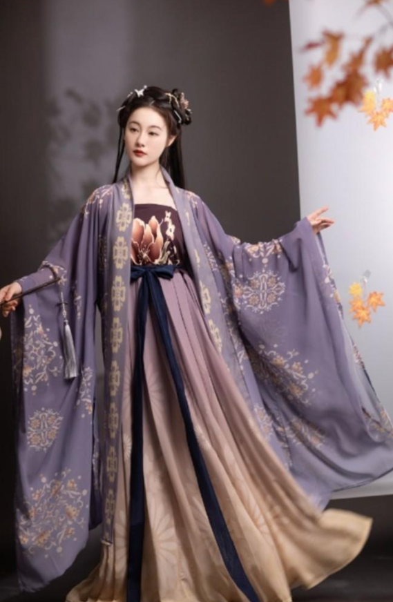 Traditional Chinese Costume Tang Dynasty Hanfu