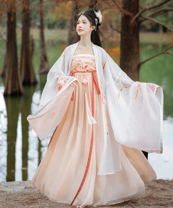 Large Sleeve Top Hanfu Set Ancient Chinese Traditional Costume The Tang Dynasty Womens Clothing