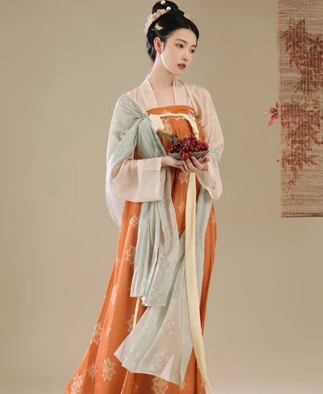 Chinese Dress Ancient Costume Tang Dynasty Hanfu Dress